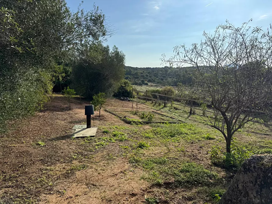 Immagine 18 di Casa semindipendente in vendita  in località sn a Arzachena