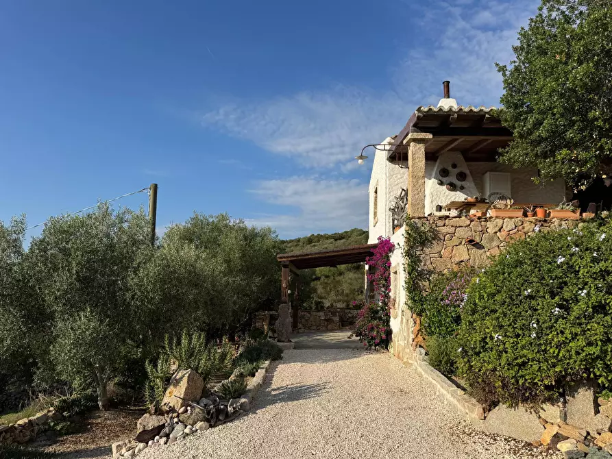 Immagine 7 di Casa semindipendente in vendita  in località sn a Arzachena