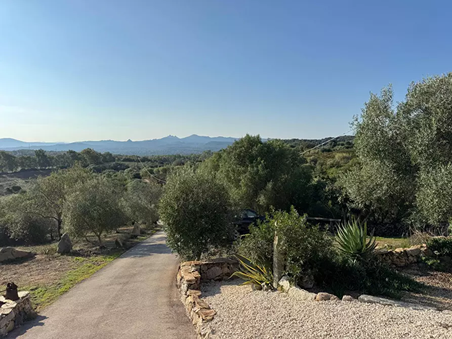 Immagine 23 di Casa semindipendente in vendita  in località sn a Arzachena
