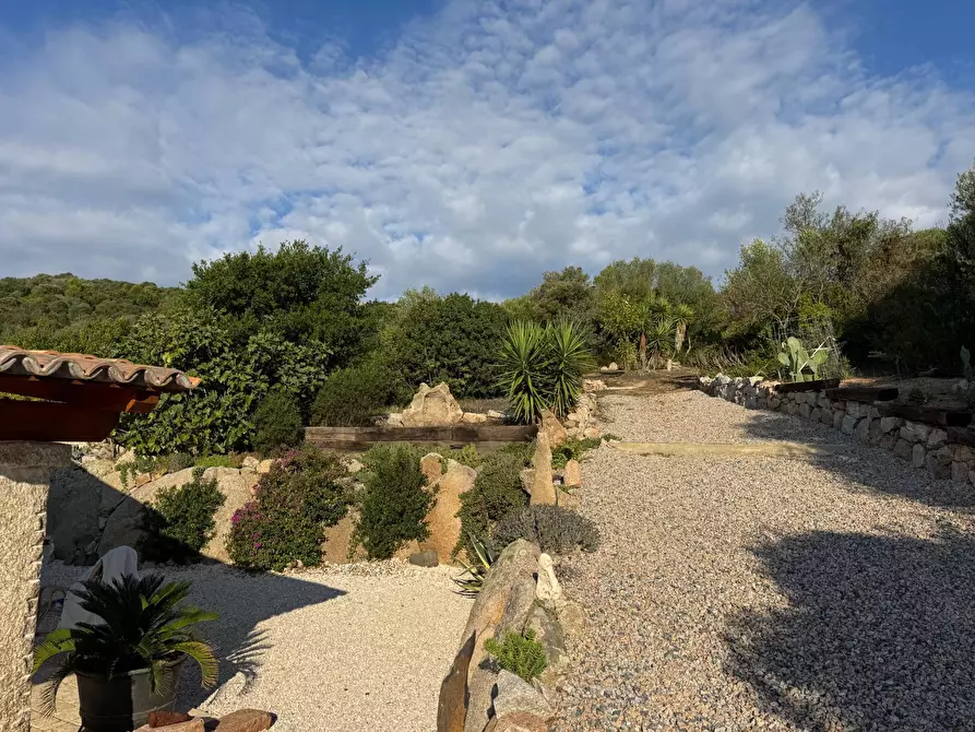 Immagine 17 di Casa semindipendente in vendita  in località sn a Arzachena