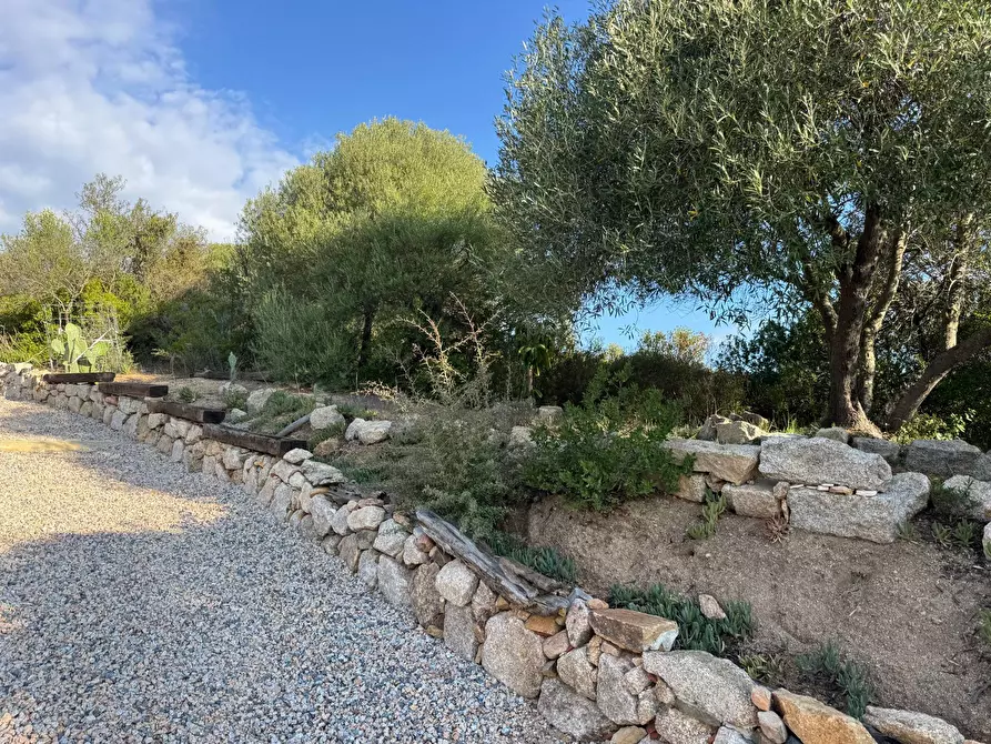 Immagine 14 di Casa semindipendente in vendita  in località sn a Arzachena