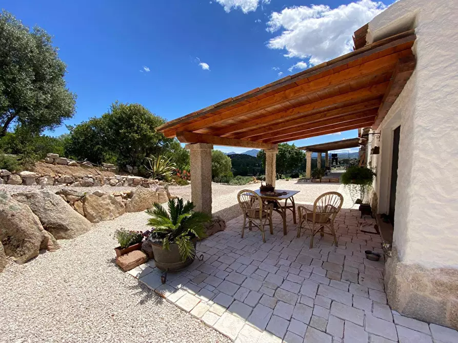 Immagine 4 di Casa semindipendente in vendita  in località sn a Arzachena
