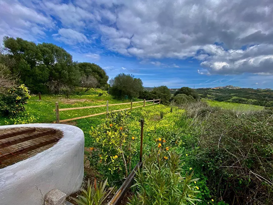Immagine 20 di Casa semindipendente in vendita  in località sn a Arzachena