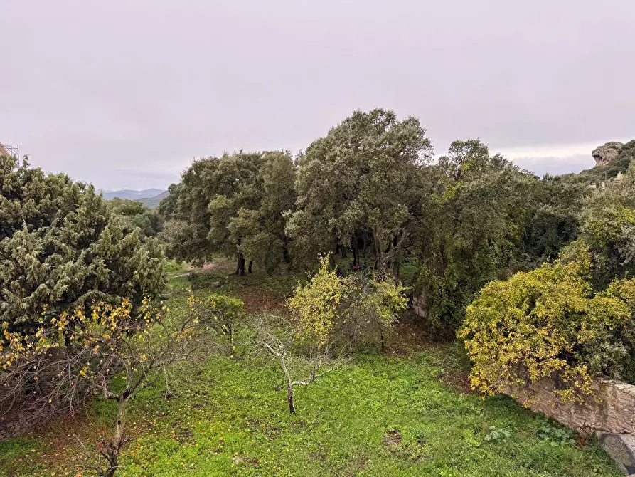 Immagine 16 di Appartamento in vendita  in REGINA ELENA a Aggius