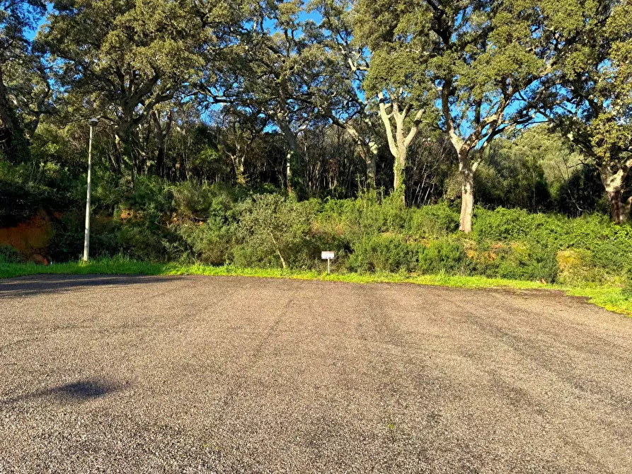 Immagine 1 di Terreno residenziale in vendita  in CAPRERA 20 a Aggius