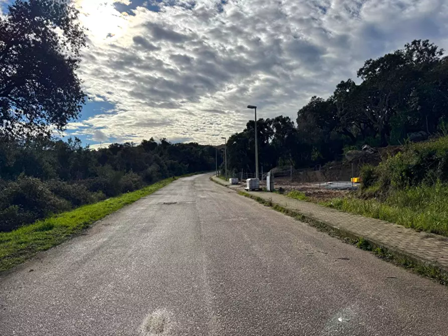 Immagine 6 di Terreno residenziale in vendita  in CAPRERA 20 a Aggius