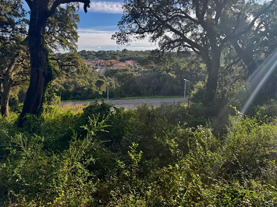 Immagine 2 di Terreno residenziale in vendita  in CAPRERA 20 a Aggius