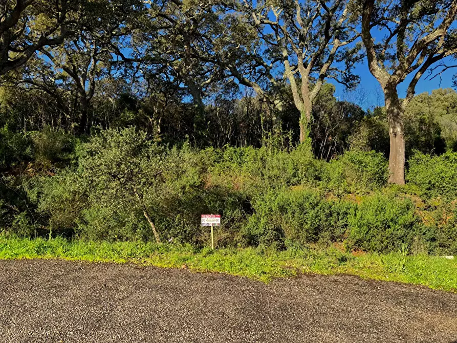 Immagine 9 di Terreno residenziale in vendita  in CAPRERA 20 a Aggius