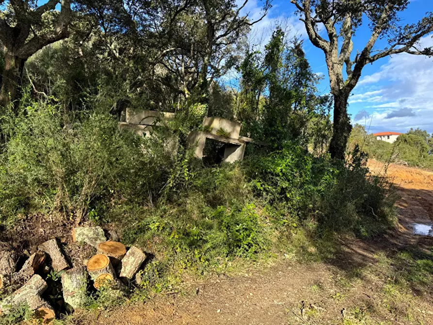 Immagine 4 di Terreno residenziale in vendita  a Aggius