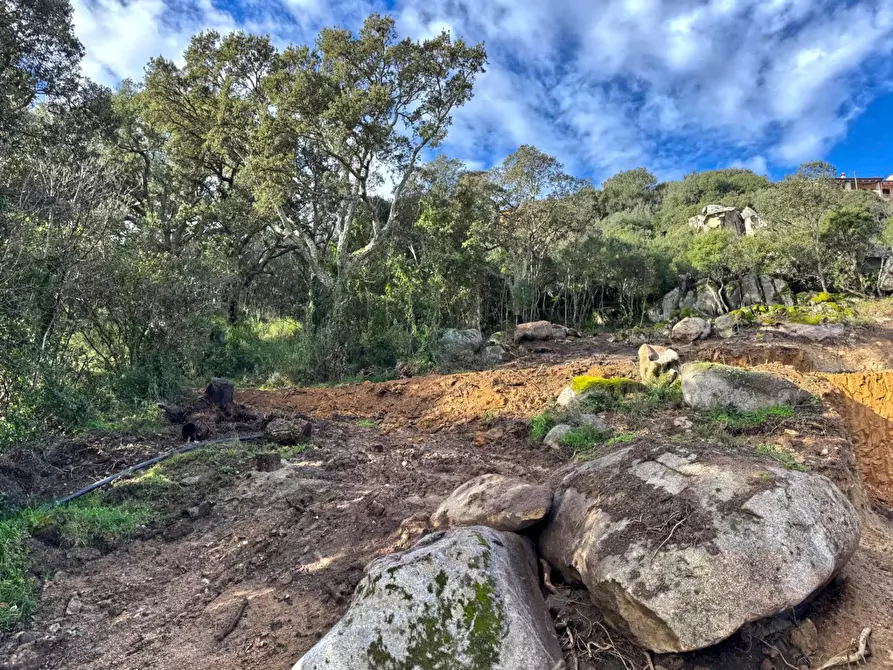 Immagine 5 di Terreno residenziale in vendita  a Aggius
