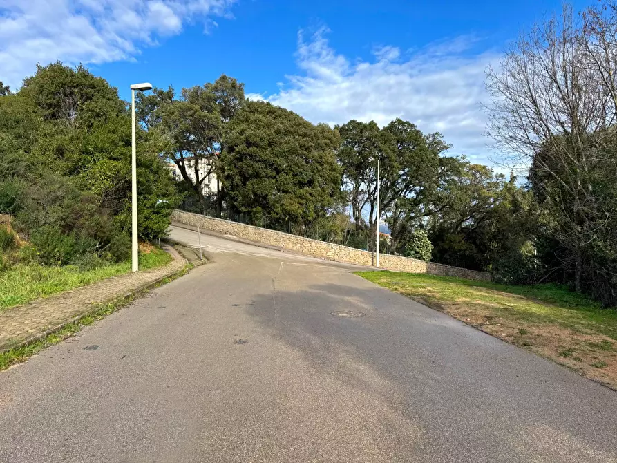 Immagine 7 di Terreno residenziale in vendita  a Aggius