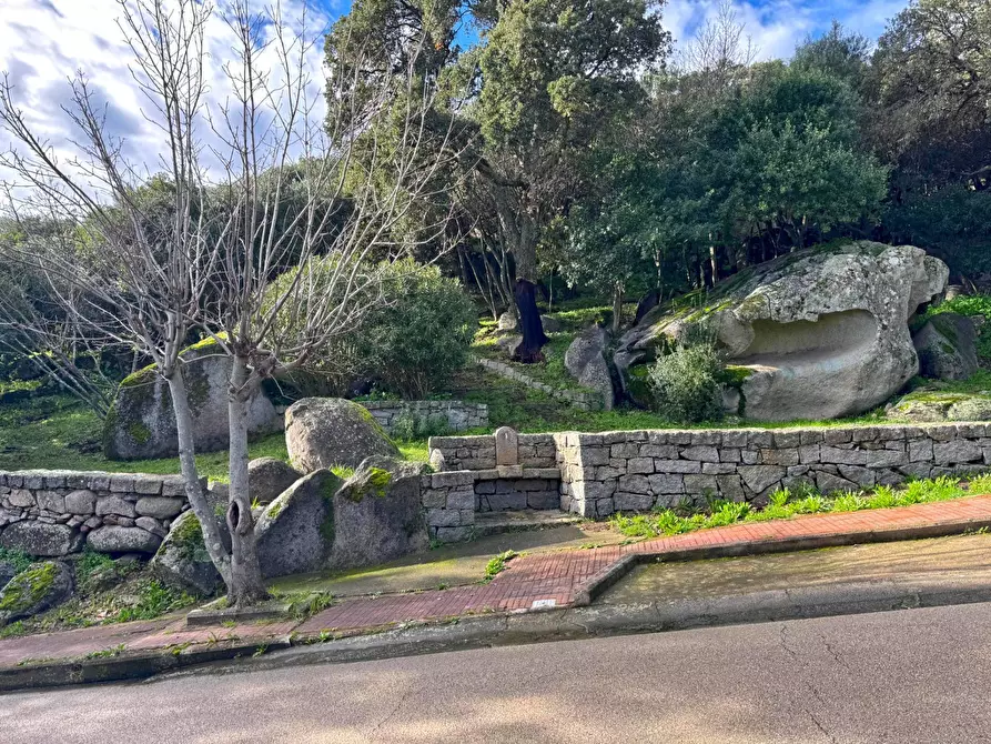 Immagine 8 di Terreno residenziale in vendita  a Aggius