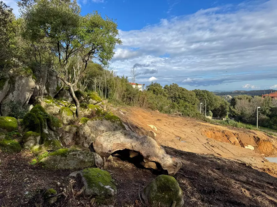 Immagine 5 di Terreno residenziale in vendita  in VIA GARIBALDI N 19 a Aggius
