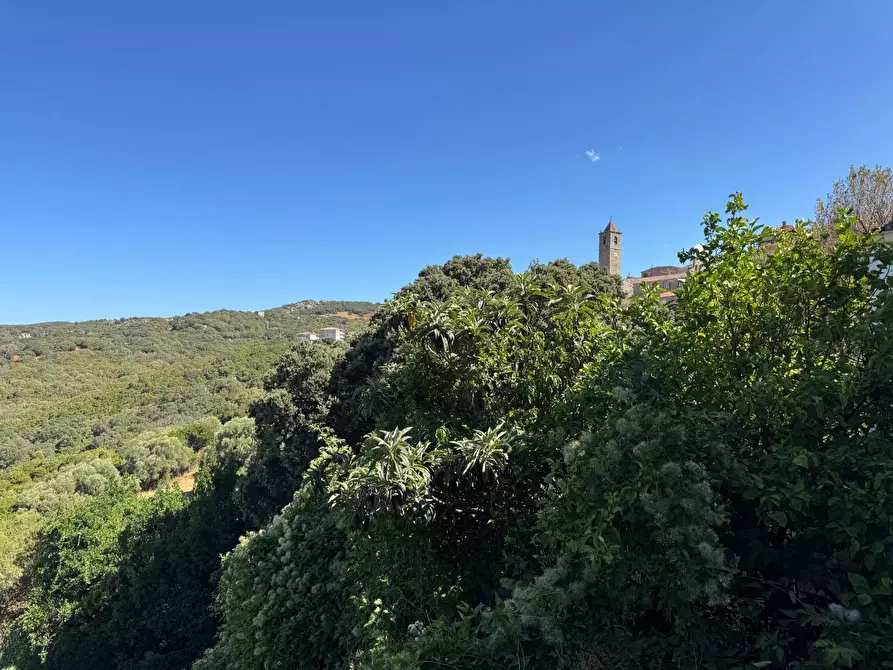 Immagine 20 di Casa semindipendente in vendita  in VIA VITTORIO EMANUELE 46 a Aggius