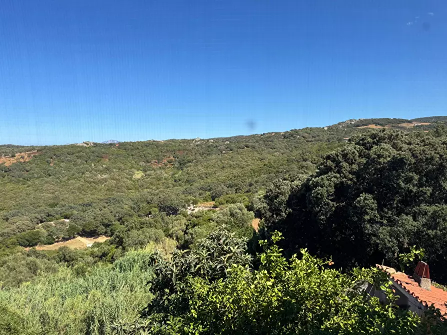 Immagine 21 di Casa semindipendente in vendita  in VIA VITTORIO EMANUELE 46 a Aggius