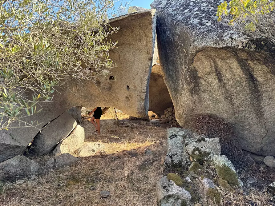 Immagine 19 di Terreno agricolo in vendita  a Aggius