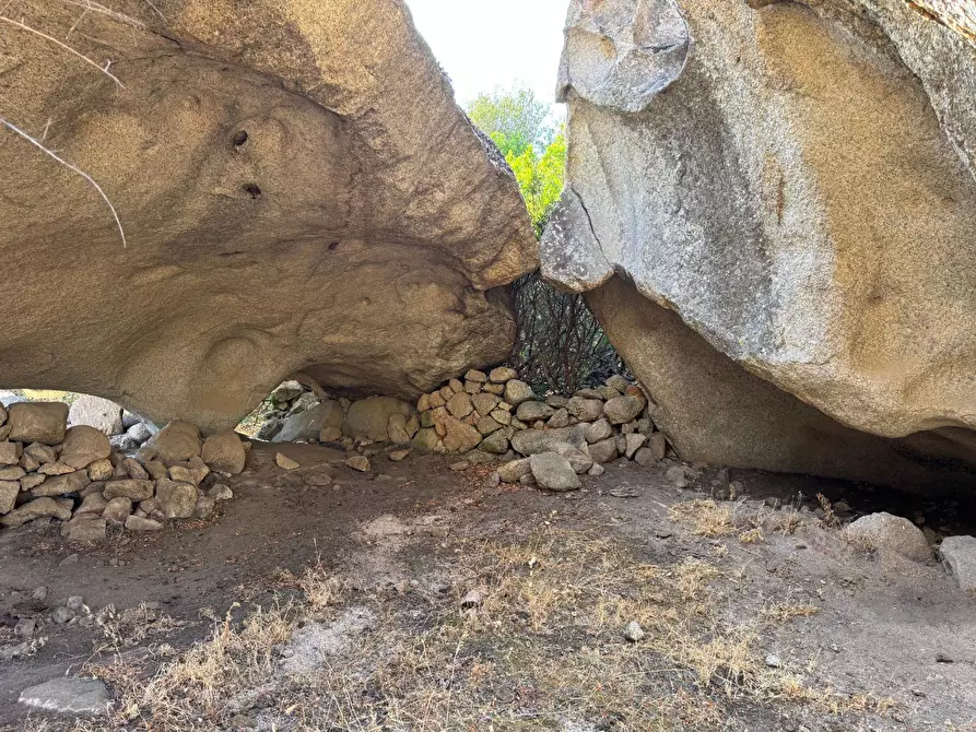 Immagine 20 di Terreno agricolo in vendita  a Aggius