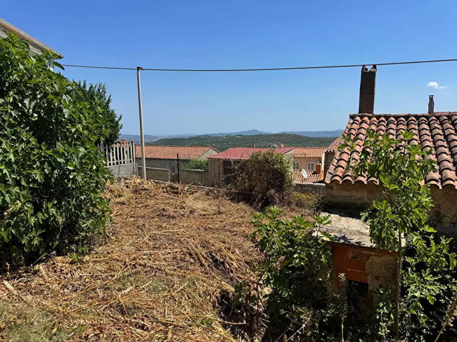 Immagine 6 di Casa semindipendente in vendita  in VIA MAZZINI 15 a Aggius