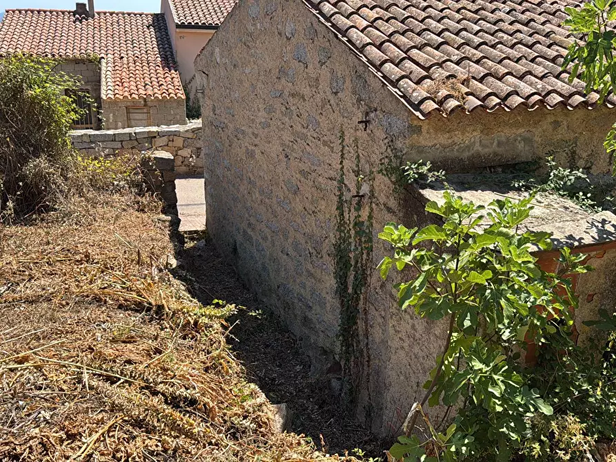 Immagine 7 di Casa semindipendente in vendita  in VIA MAZZINI 15 a Aggius