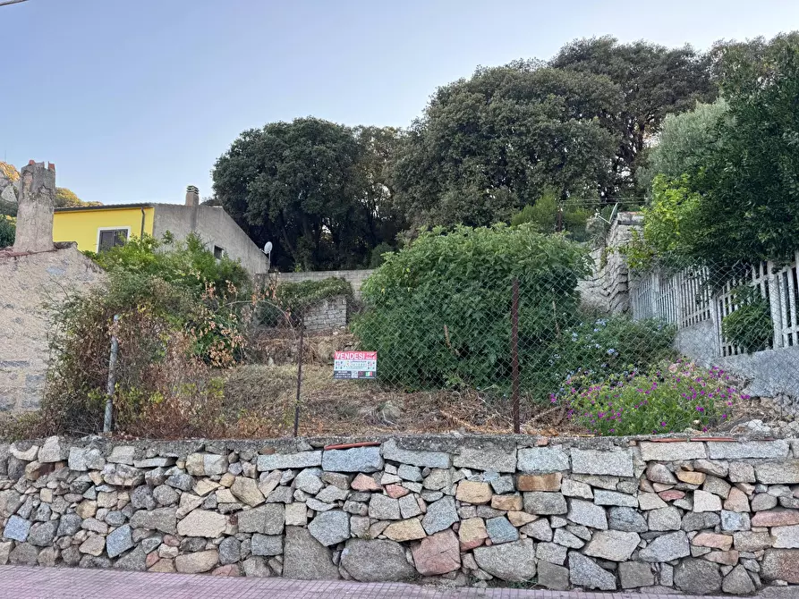 Immagine 5 di Casa semindipendente in vendita  in VIA MAZZINI 15 a Aggius