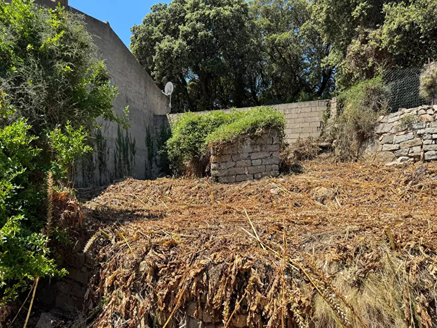 Immagine 9 di Casa semindipendente in vendita  in VIA MAZZINI 15 a Aggius