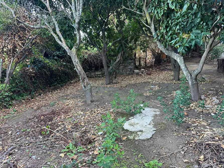 Immagine 23 di Casa semindipendente in vendita  in VIA VITTORIO EMANUELE II 106 a Aggius