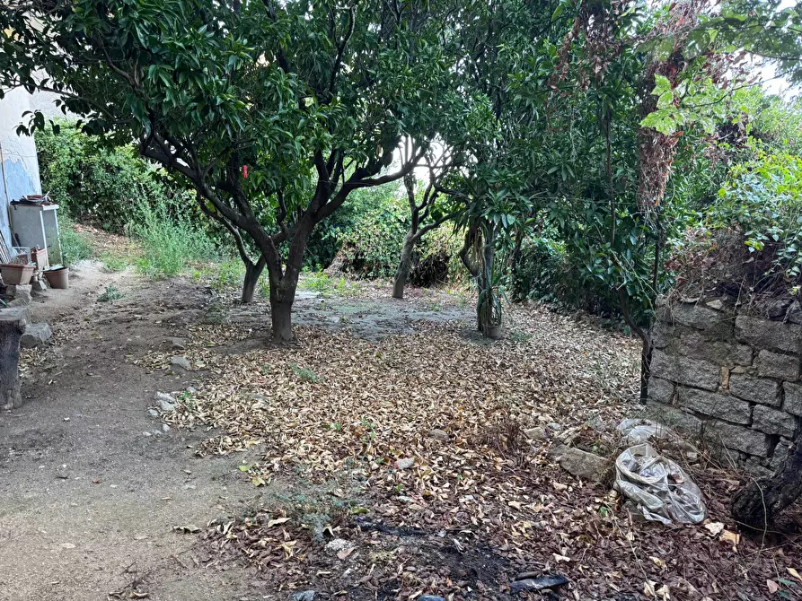 Immagine 24 di Casa semindipendente in vendita  in VIA VITTORIO EMANUELE II 106 a Aggius