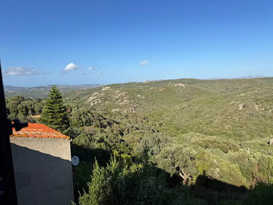 Immagine 21 di Casa semindipendente in vendita  in VIA VITTORIO EMANUELE II 106 a Aggius