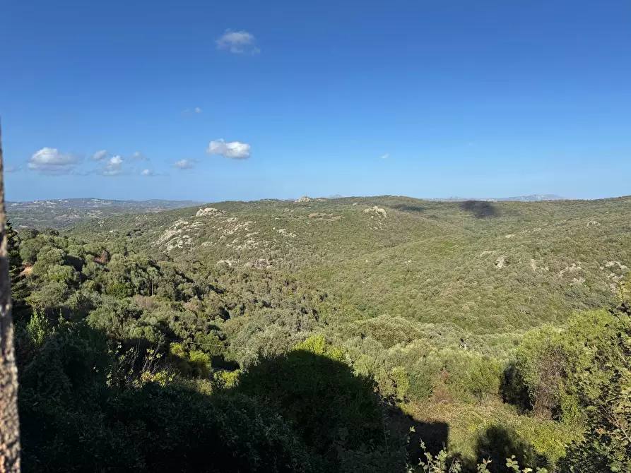 Immagine 22 di Casa semindipendente in vendita  in VIA VITTORIO EMANUELE II 106 a Aggius
