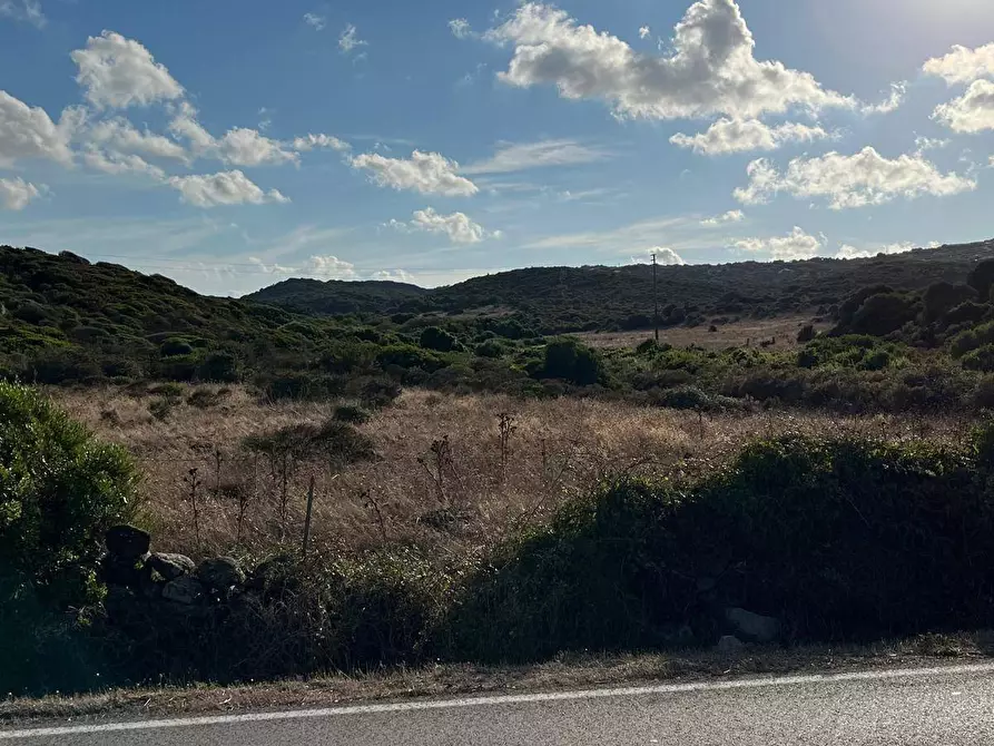 Immagine 5 di Terreno agricolo in vendita  in Capizza Di Vacca a Santa Teresa Gallura