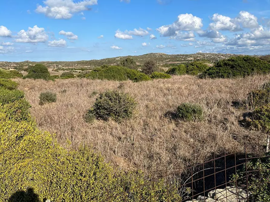 Immagine 7 di Terreno agricolo in vendita  in Capizza Di Vacca a Santa Teresa Gallura