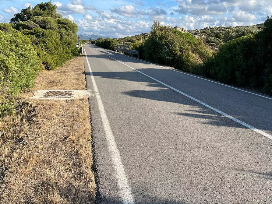 Immagine 6 di Terreno agricolo in vendita  in Capizza Di Vacca a Santa Teresa Gallura