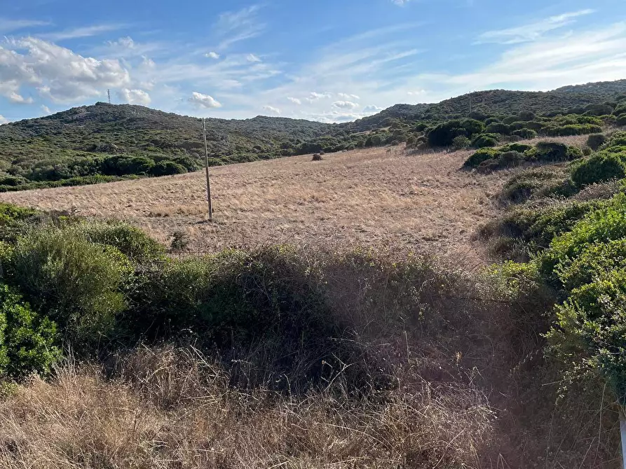 Immagine 8 di Terreno agricolo in vendita  in Capizza Di Vacca a Santa Teresa Gallura