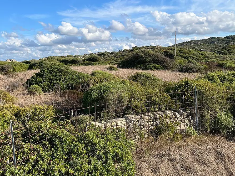 Immagine 10 di Terreno agricolo in vendita  in Capizza Di Vacca a Santa Teresa Gallura