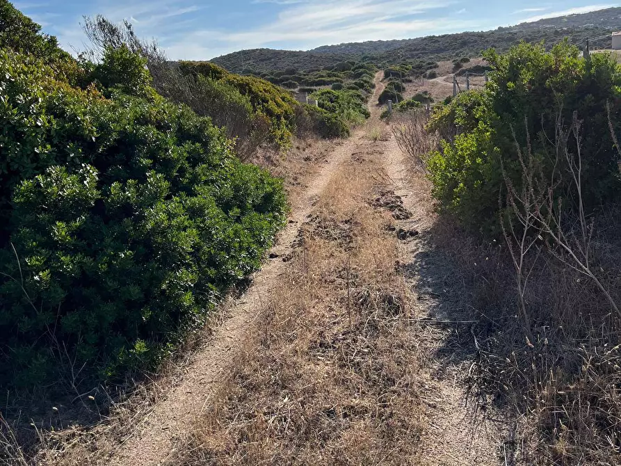 Immagine 9 di Terreno agricolo in vendita  in Capizza Di Vacca a Santa Teresa Gallura