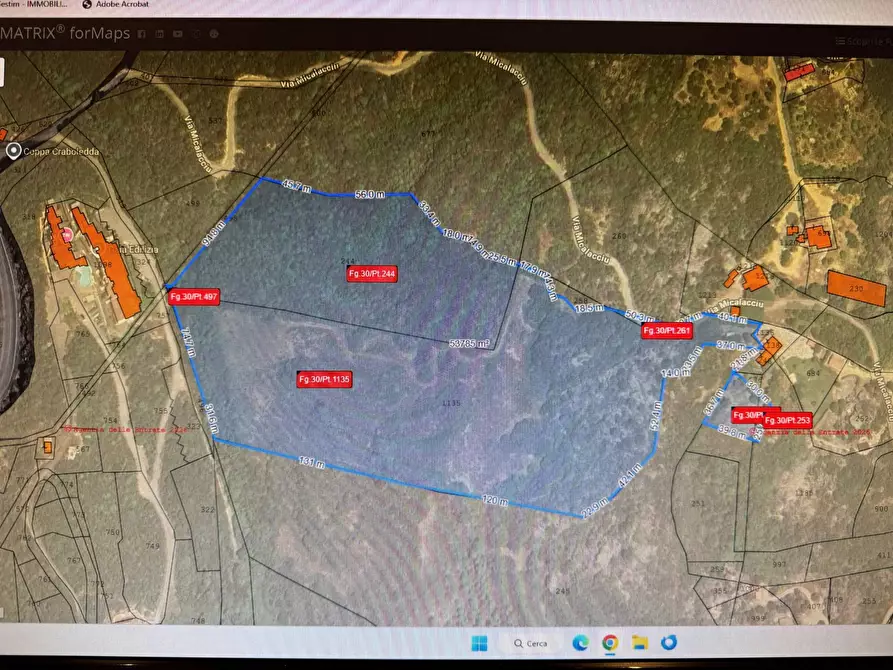 Immagine 7 di Terreno agricolo in vendita  in MICALACCIU a Arzachena