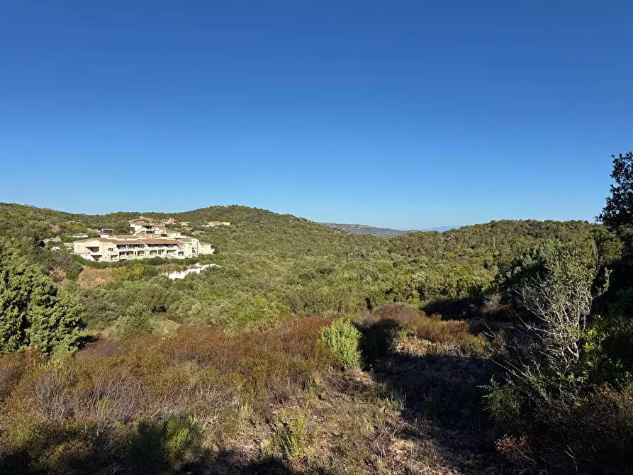 Immagine 2 di Terreno agricolo in vendita  in MICALACCIU a Arzachena