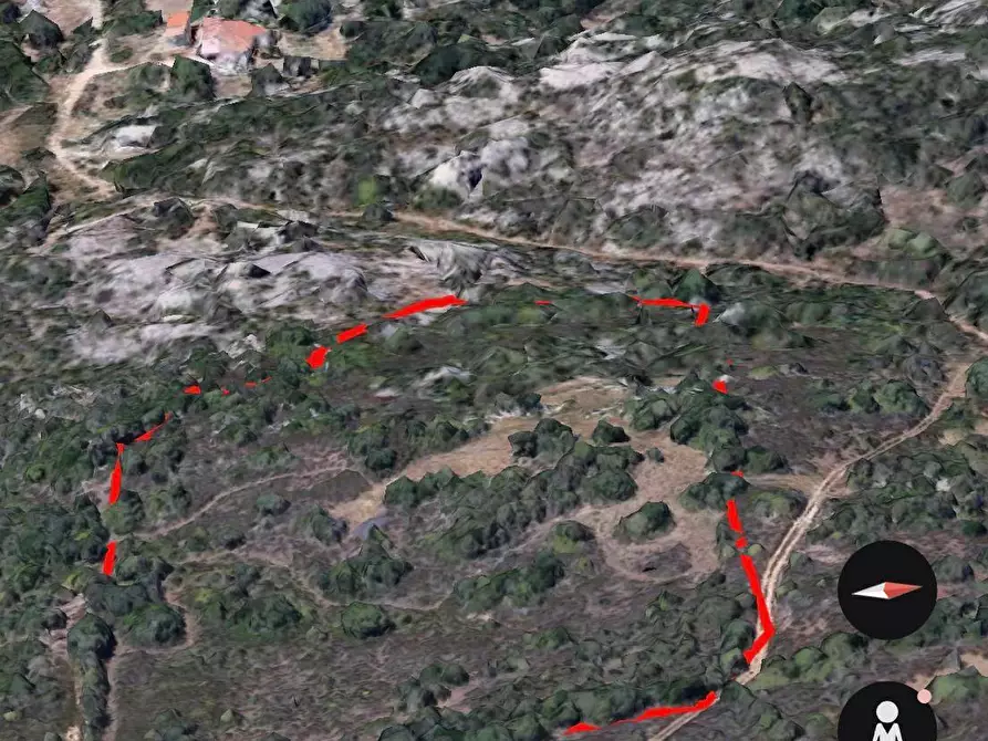 Immagine 9 di Terreno agricolo in vendita  in MICALACCIU a Arzachena