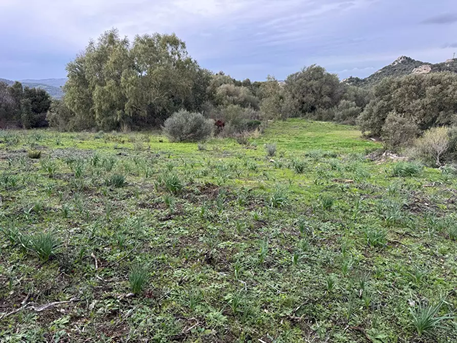 Immagine 5 di Terreno residenziale in vendita  in ZONA RIONE S.PAOLO FRONTE STRADA ABELTINO SNC a Aggius