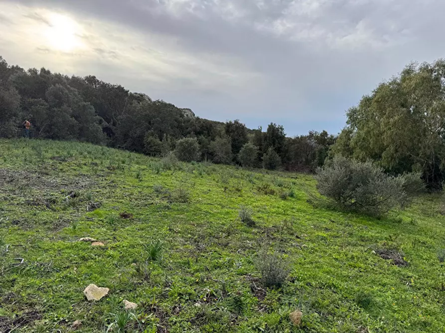 Immagine 6 di Terreno residenziale in vendita  in ZONA RIONE S.PAOLO FRONTE STRADA ABELTINO SNC a Aggius