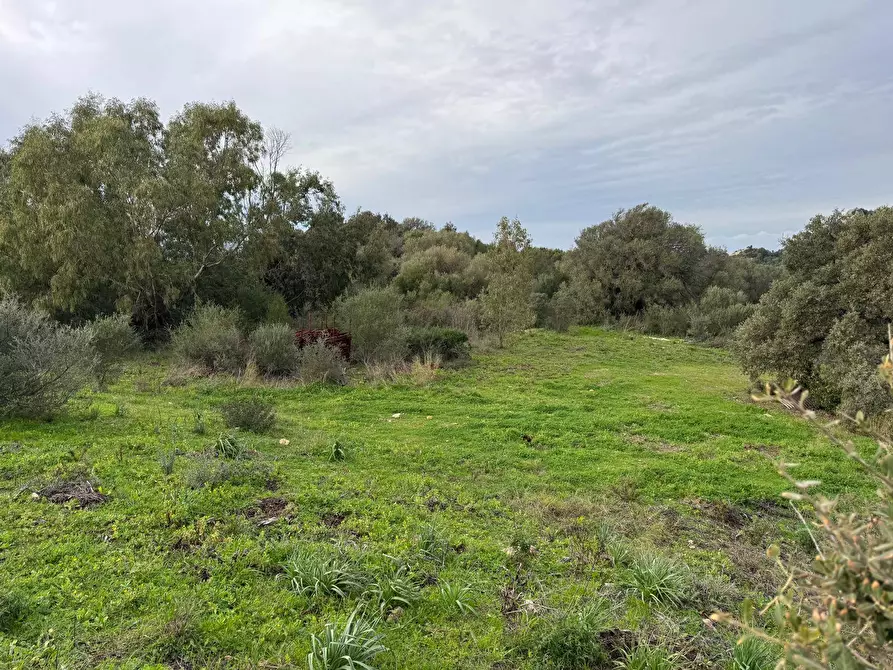 Immagine 8 di Terreno residenziale in vendita  in ZONA RIONE S.PAOLO FRONTE STRADA ABELTINO SNC a Aggius