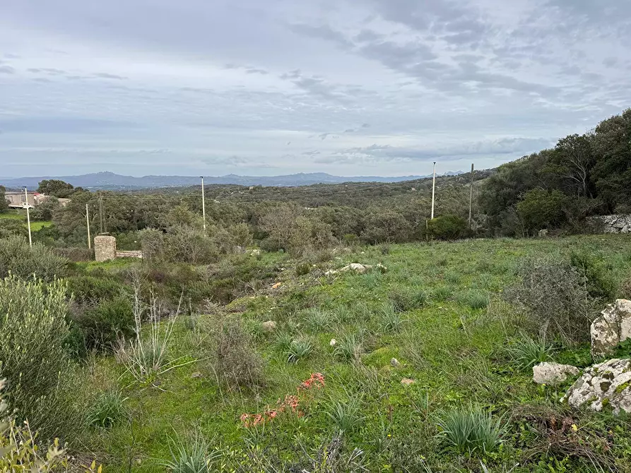 Immagine 9 di Terreno residenziale in vendita  in ZONA RIONE S.PAOLO FRONTE STRADA ABELTINO SNC a Aggius