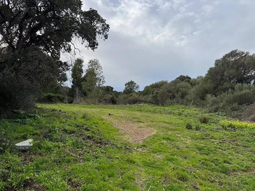 Immagine 10 di Terreno residenziale in vendita  in ZONA RIONE S.PAOLO FRONTE STRADA ABELTINO SNC a Aggius