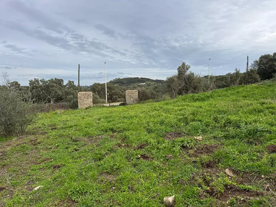 Immagine 11 di Terreno residenziale in vendita  in ZONA RIONE S.PAOLO FRONTE STRADA ABELTINO SNC a Aggius