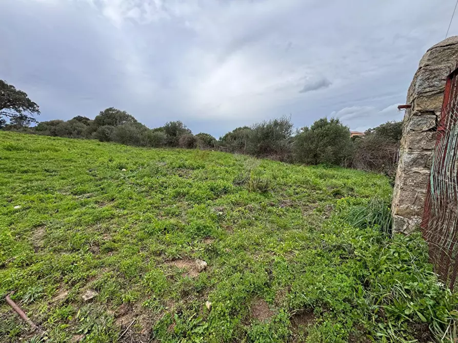 Immagine 12 di Terreno residenziale in vendita  in ZONA RIONE S.PAOLO FRONTE STRADA ABELTINO SNC a Aggius