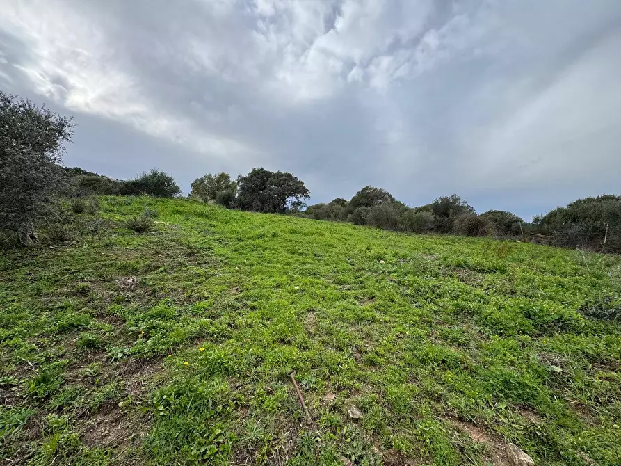 Immagine 13 di Terreno residenziale in vendita  in ZONA RIONE S.PAOLO FRONTE STRADA ABELTINO SNC a Aggius