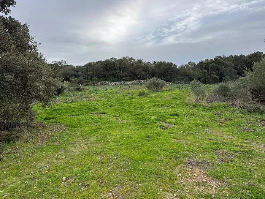 Immagine 14 di Terreno residenziale in vendita  in ZONA RIONE S.PAOLO FRONTE STRADA ABELTINO SNC a Aggius