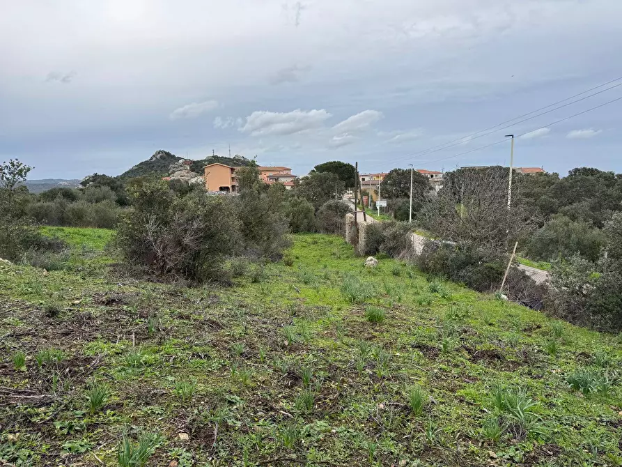 Immagine 15 di Terreno residenziale in vendita  in ZONA RIONE S.PAOLO FRONTE STRADA ABELTINO SNC a Aggius