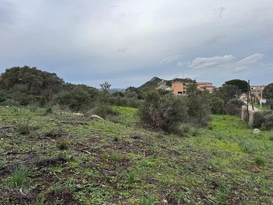 Immagine 16 di Terreno residenziale in vendita  in ZONA RIONE S.PAOLO FRONTE STRADA ABELTINO SNC a Aggius