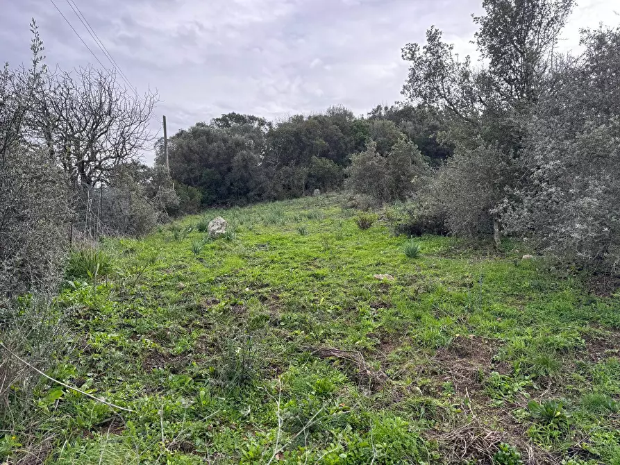 Immagine 17 di Terreno residenziale in vendita  in ZONA RIONE S.PAOLO FRONTE STRADA ABELTINO SNC a Aggius